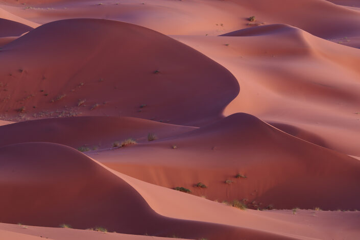 Sand dunes in Morocco
