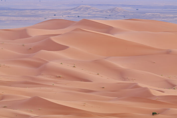 Sand dunes in the Sahara Desert
